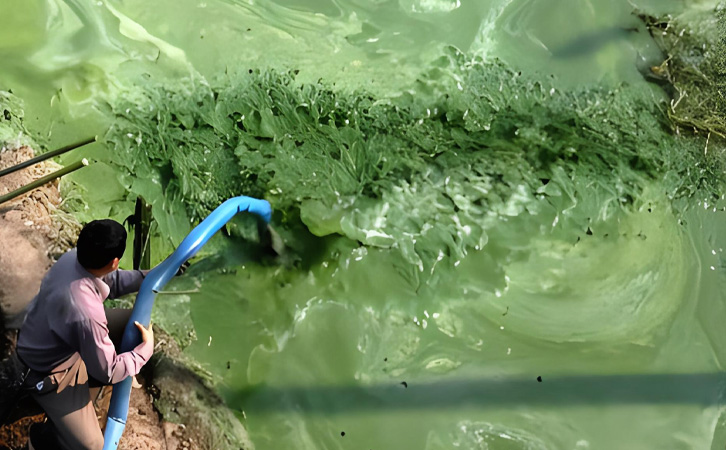 江浙沪沿海地带河流湖泊治理：揭示夏季水体危机，沉水式罗茨风机助您应对绿藻泛滥与水体发黑返臭问题